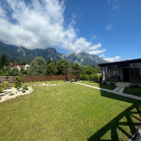 Villa Casuta Doi Ponei Buşteni Exterior foto