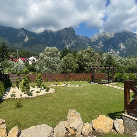 Villa Casuta Doi Ponei Buşteni Exterior foto