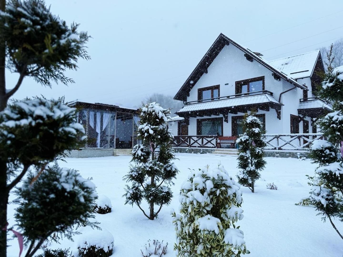Villa Casuta Doi Ponei Buşteni Exterior foto